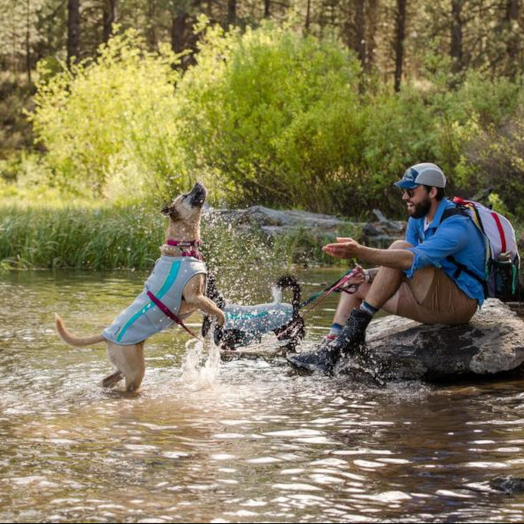 Ruffwear Swamp Cooler Dog Cooling Vest